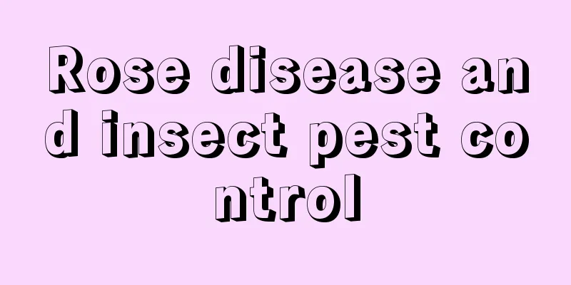 Rose disease and insect pest control