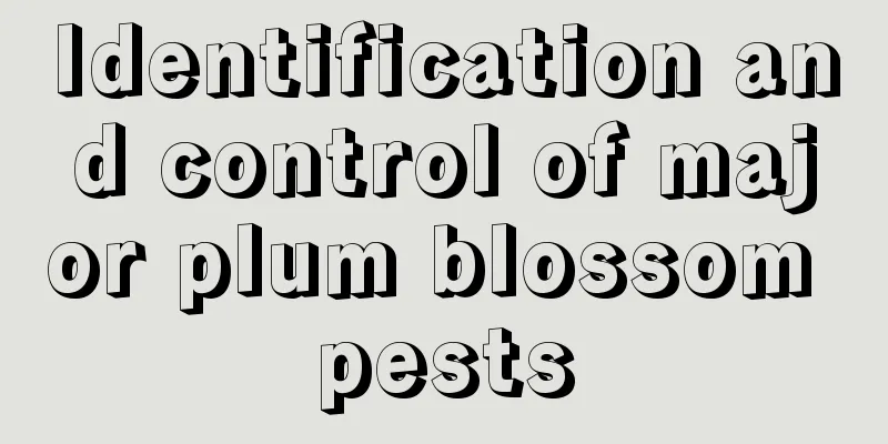 Identification and control of major plum blossom pests