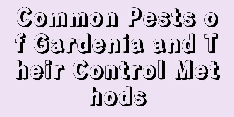 Common Pests of Gardenia and Their Control Methods