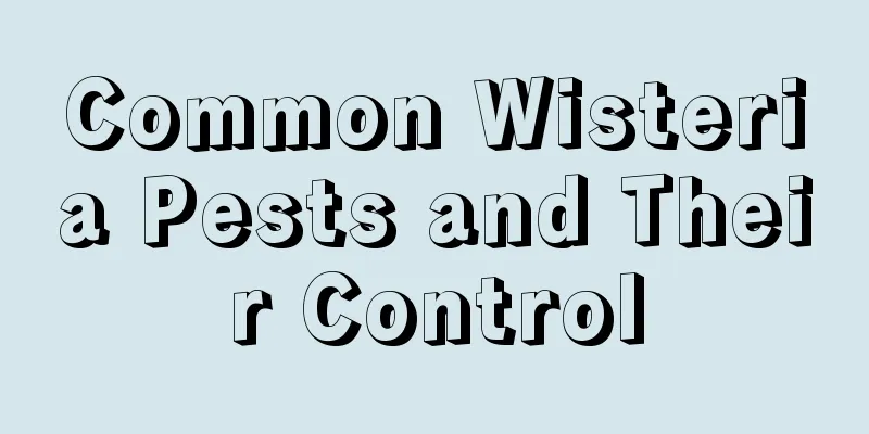 Common Wisteria Pests and Their Control