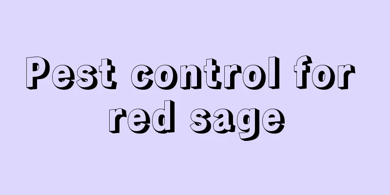 Pest control for red sage