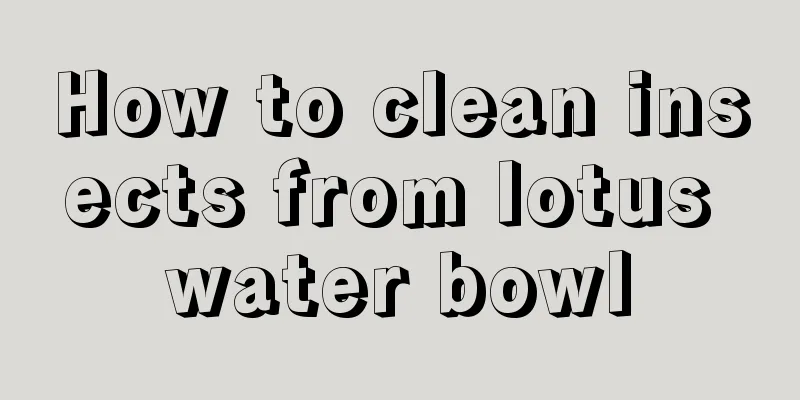 How to clean insects from lotus water bowl