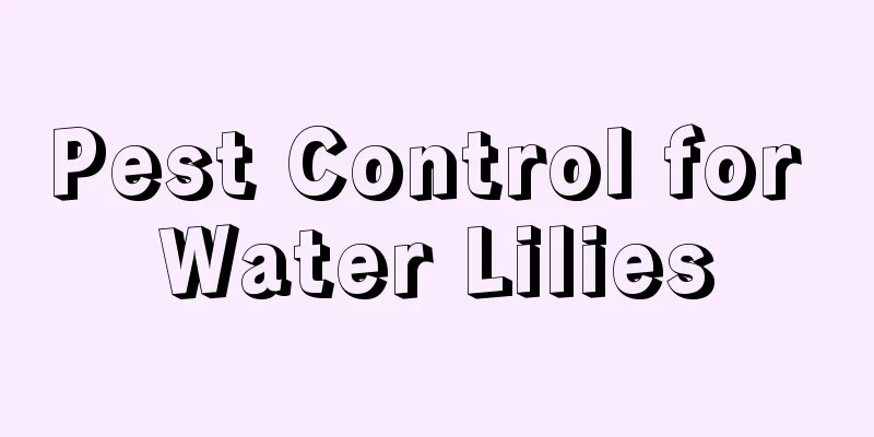 Pest Control for Water Lilies