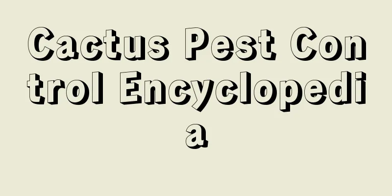 Cactus Pest Control Encyclopedia