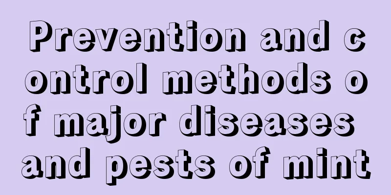 Prevention and control methods of major diseases and pests of mint