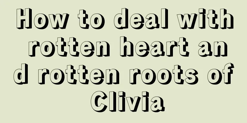 How to deal with rotten heart and rotten roots of Clivia