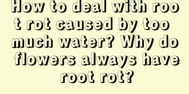 How to deal with root rot caused by too much water? Why do flowers always have root rot?