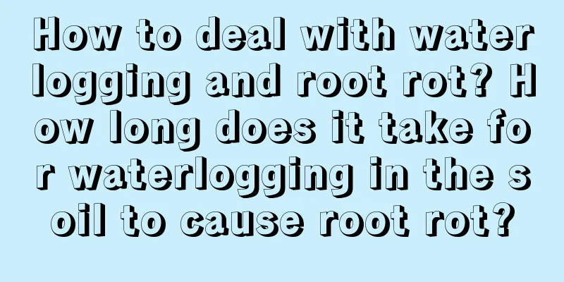 How to deal with waterlogging and root rot? How long does it take for waterlogging in the soil to cause root rot?