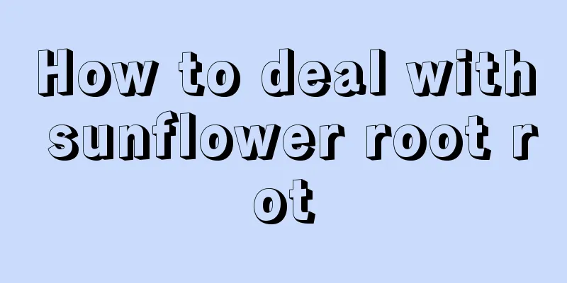 How to deal with sunflower root rot