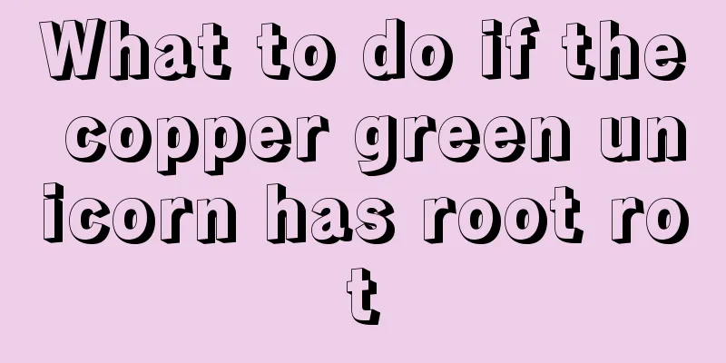 What to do if the copper green unicorn has root rot