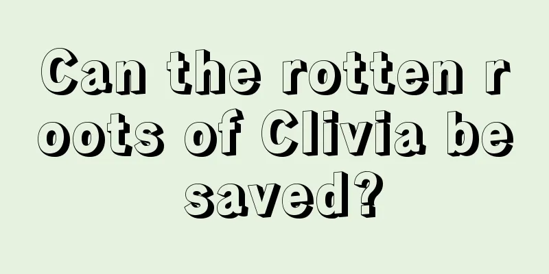 Can the rotten roots of Clivia be saved?