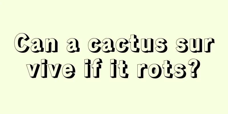 Can a cactus survive if it rots?