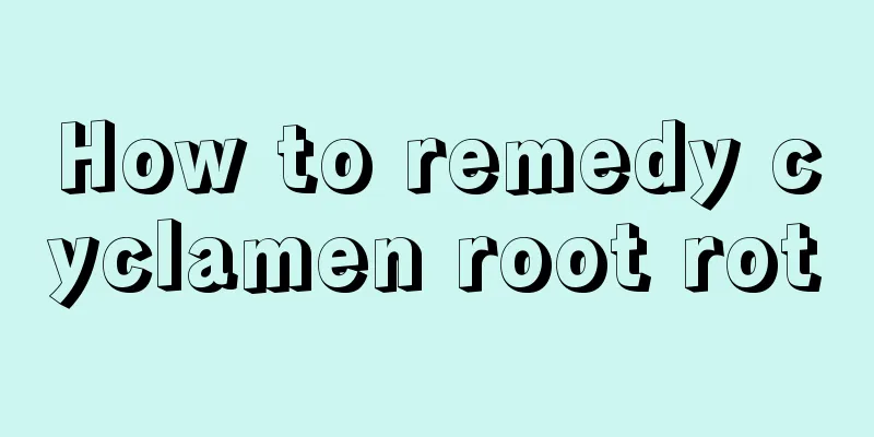 How to remedy cyclamen root rot