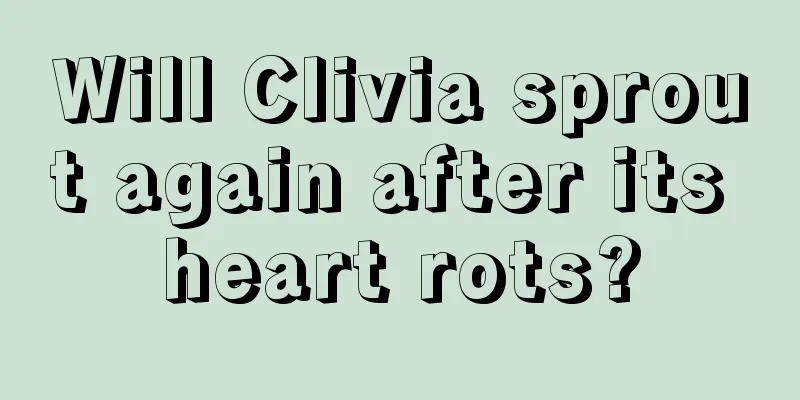 Will Clivia sprout again after its heart rots?