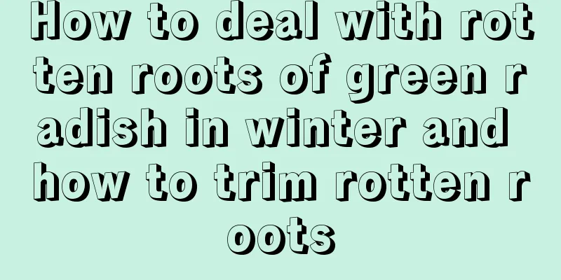 How to deal with rotten roots of green radish in winter and how to trim rotten roots