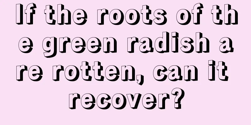 If the roots of the green radish are rotten, can it recover?