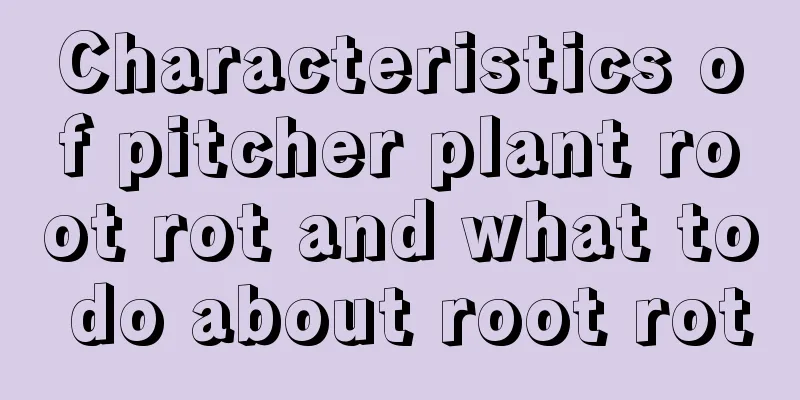 Characteristics of pitcher plant root rot and what to do about root rot