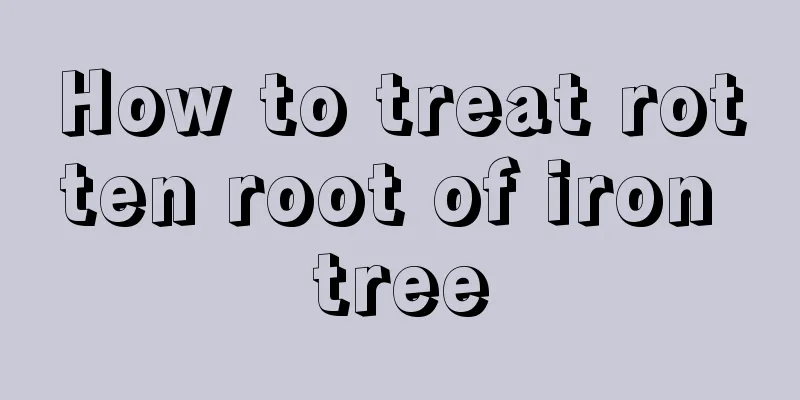 How to treat rotten root of iron tree