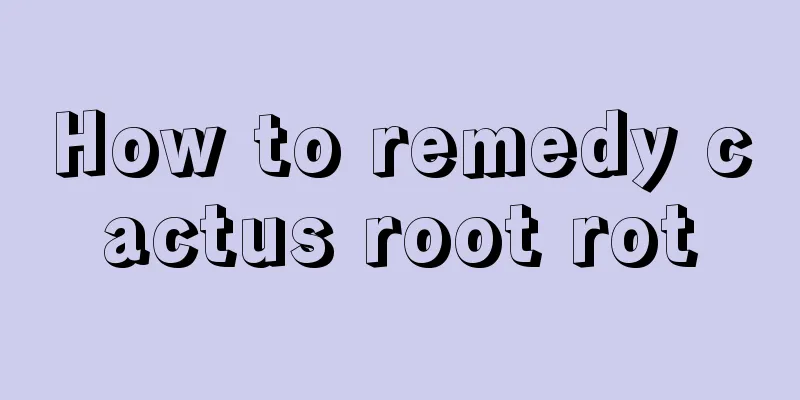 How to remedy cactus root rot