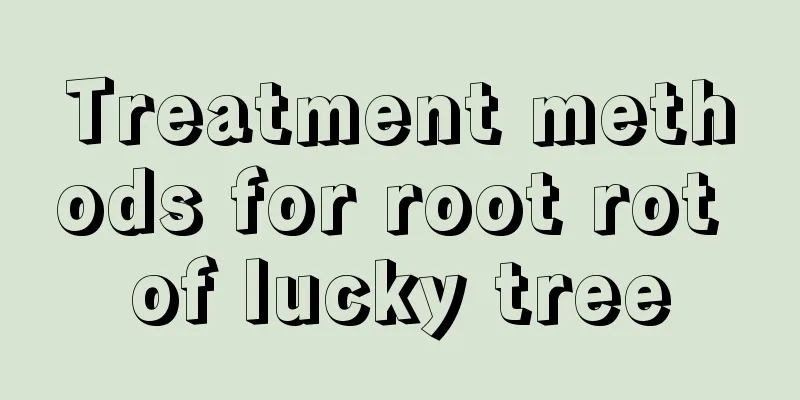 Treatment methods for root rot of lucky tree