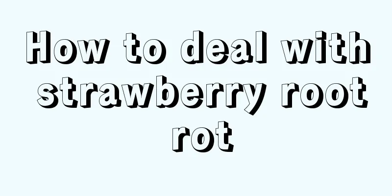 How to deal with strawberry root rot