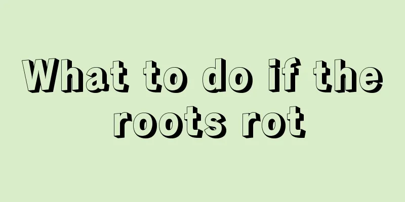 What to do if the roots rot