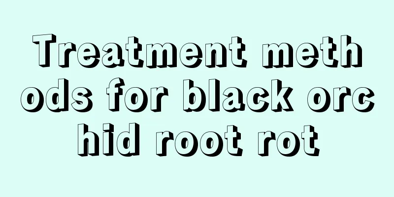 Treatment methods for black orchid root rot