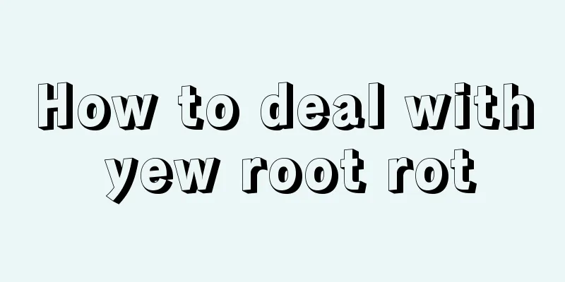 How to deal with yew root rot