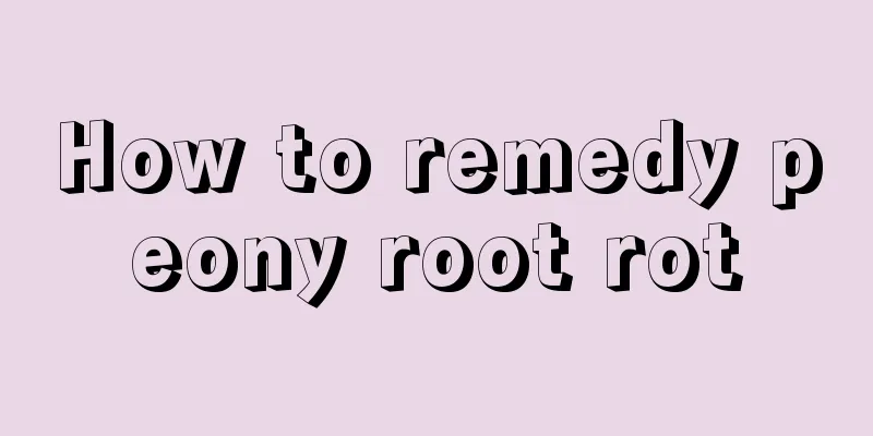 How to remedy peony root rot