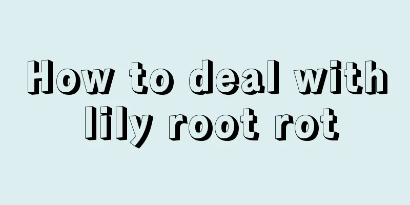 How to deal with lily root rot