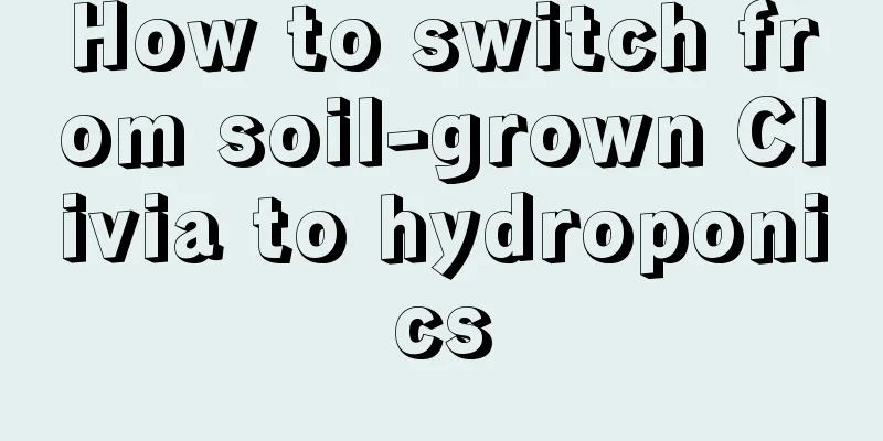 How to switch from soil-grown Clivia to hydroponics