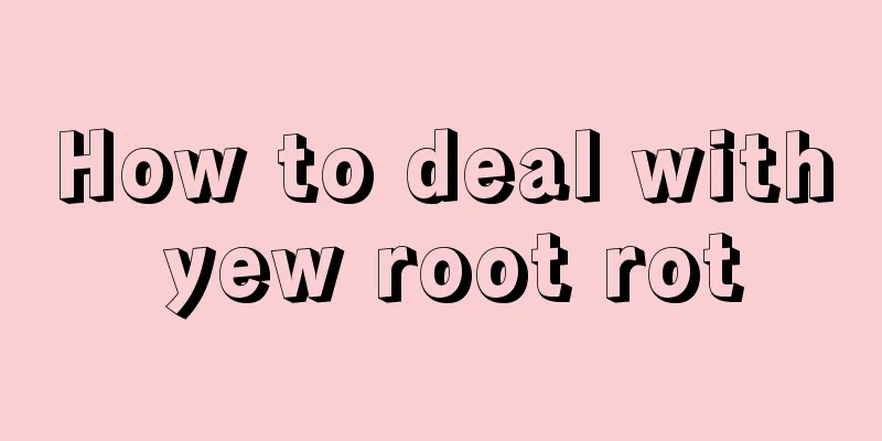 How to deal with yew root rot