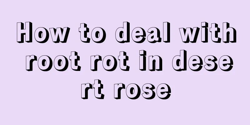 How to deal with root rot in desert rose