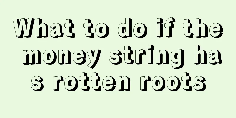 What to do if the money string has rotten roots