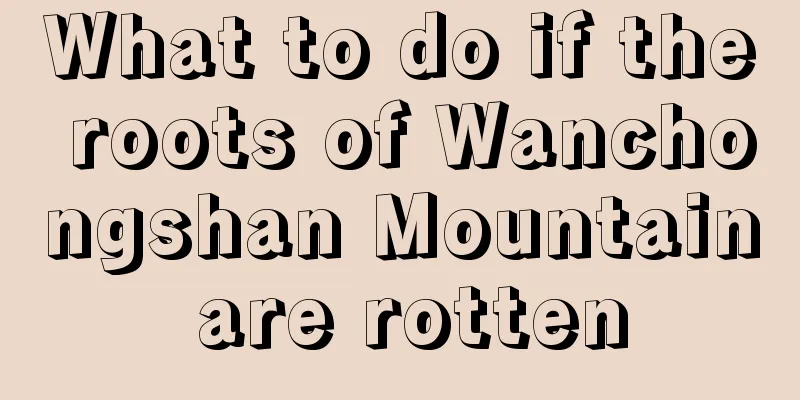 What to do if the roots of Wanchongshan Mountain are rotten