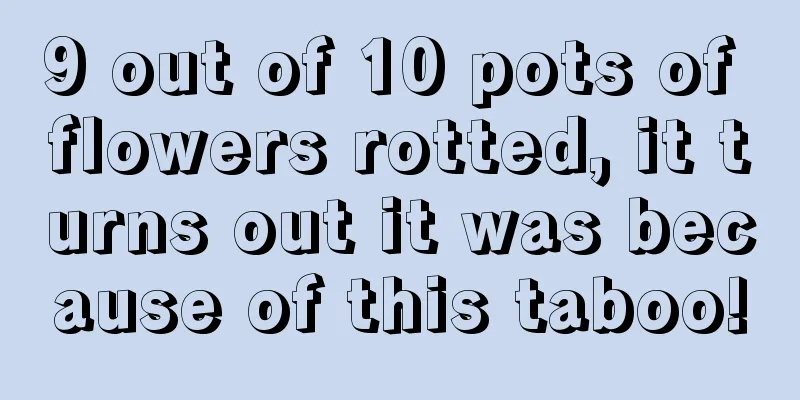 9 out of 10 pots of flowers rotted, it turns out it was because of this taboo!