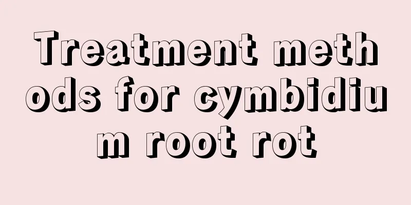 Treatment methods for cymbidium root rot