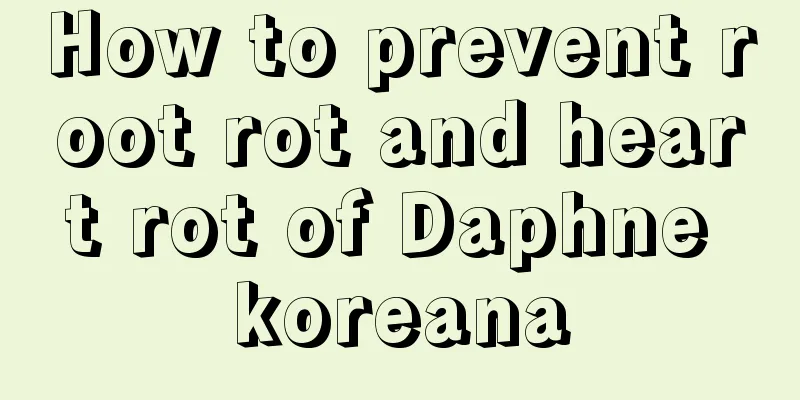 How to prevent root rot and heart rot of Daphne koreana