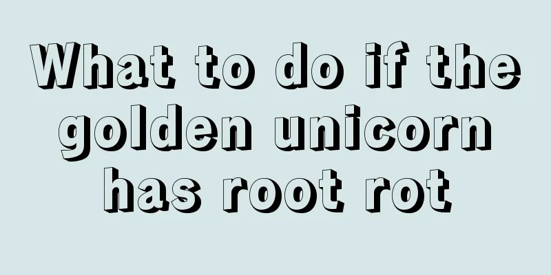 What to do if the golden unicorn has root rot