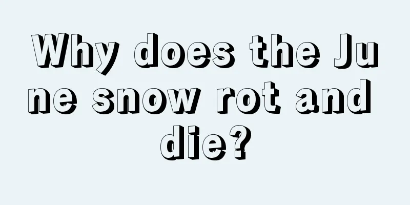 Why does the June snow rot and die?