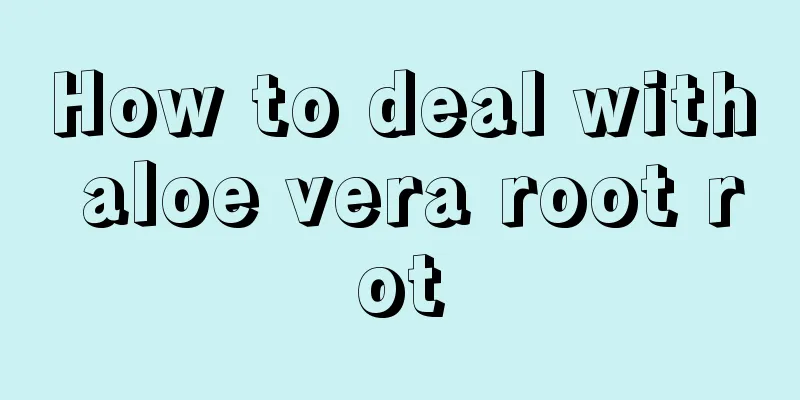 How to deal with aloe vera root rot