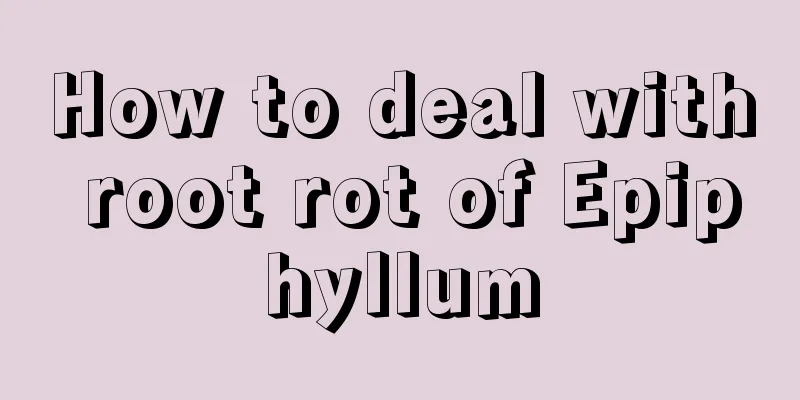 How to deal with root rot of Epiphyllum