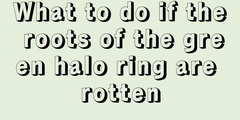 What to do if the roots of the green halo ring are rotten