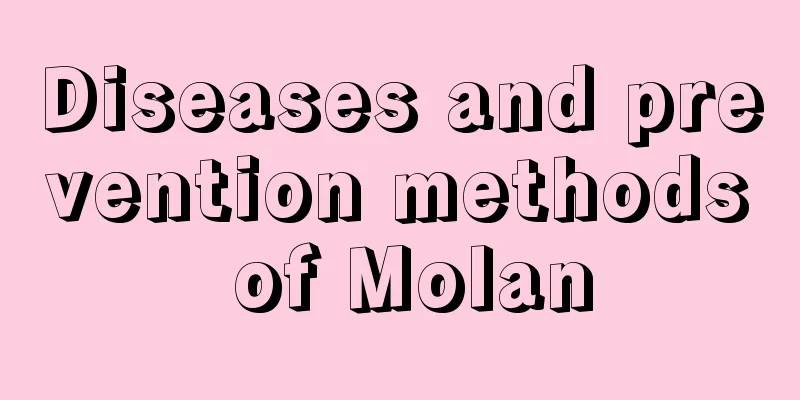 Diseases and prevention methods of Molan