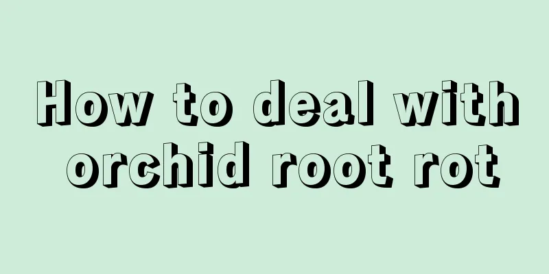 How to deal with orchid root rot