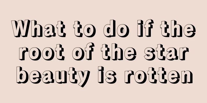 What to do if the root of the star beauty is rotten