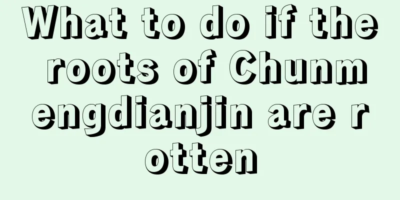 What to do if the roots of Chunmengdianjin are rotten