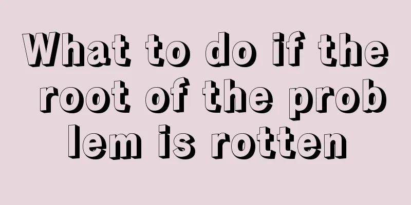 What to do if the root of the problem is rotten