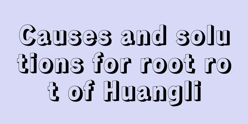 Causes and solutions for root rot of Huangli