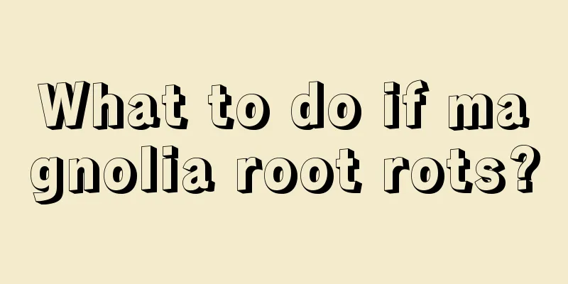 What to do if magnolia root rots?